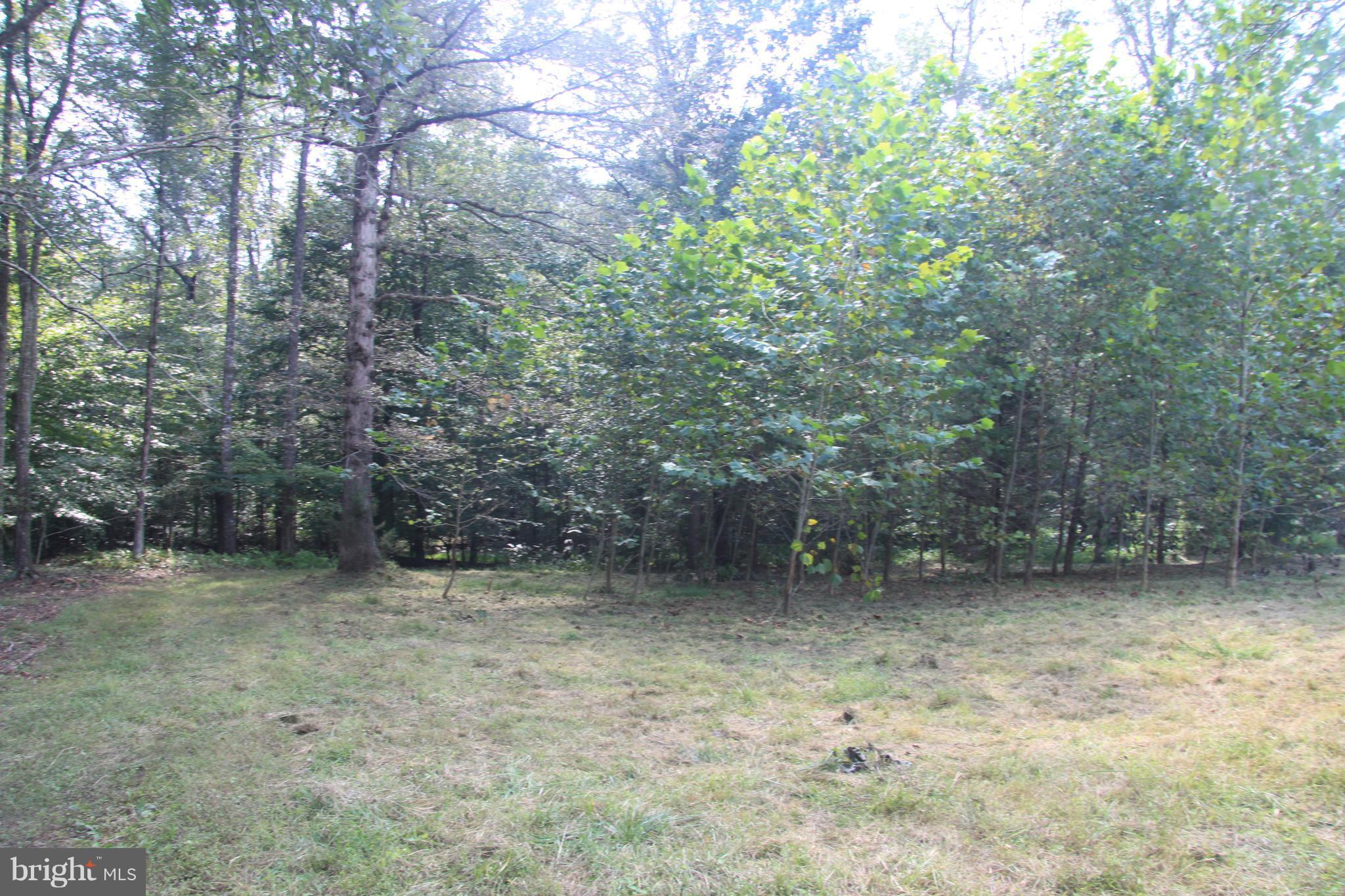 Horseshoe Road Orange, VA 22960 - Photo 7 of 16 View
