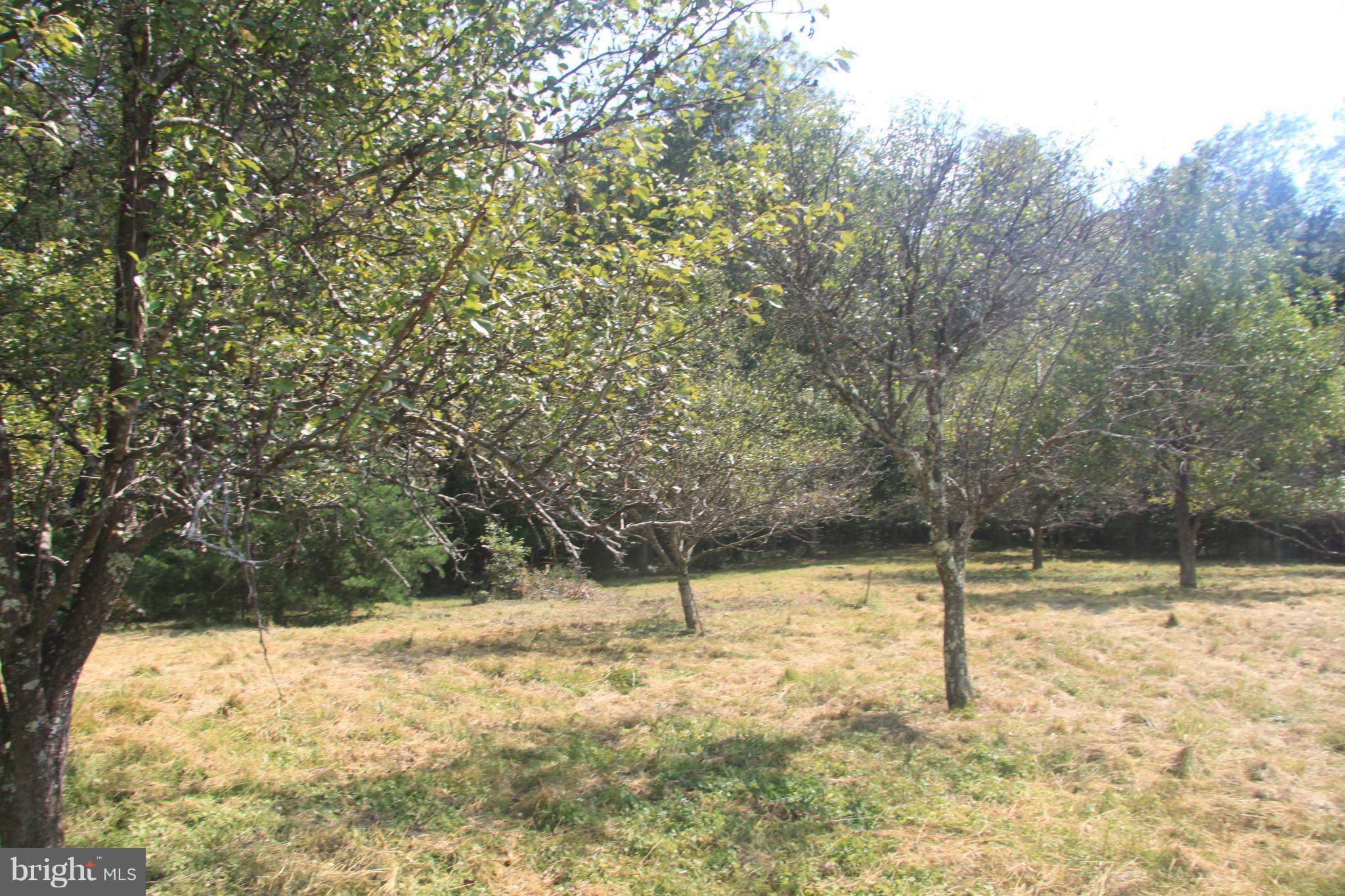 Horseshoe Road Orange, VA 22960 - Photo 10 of 16 View