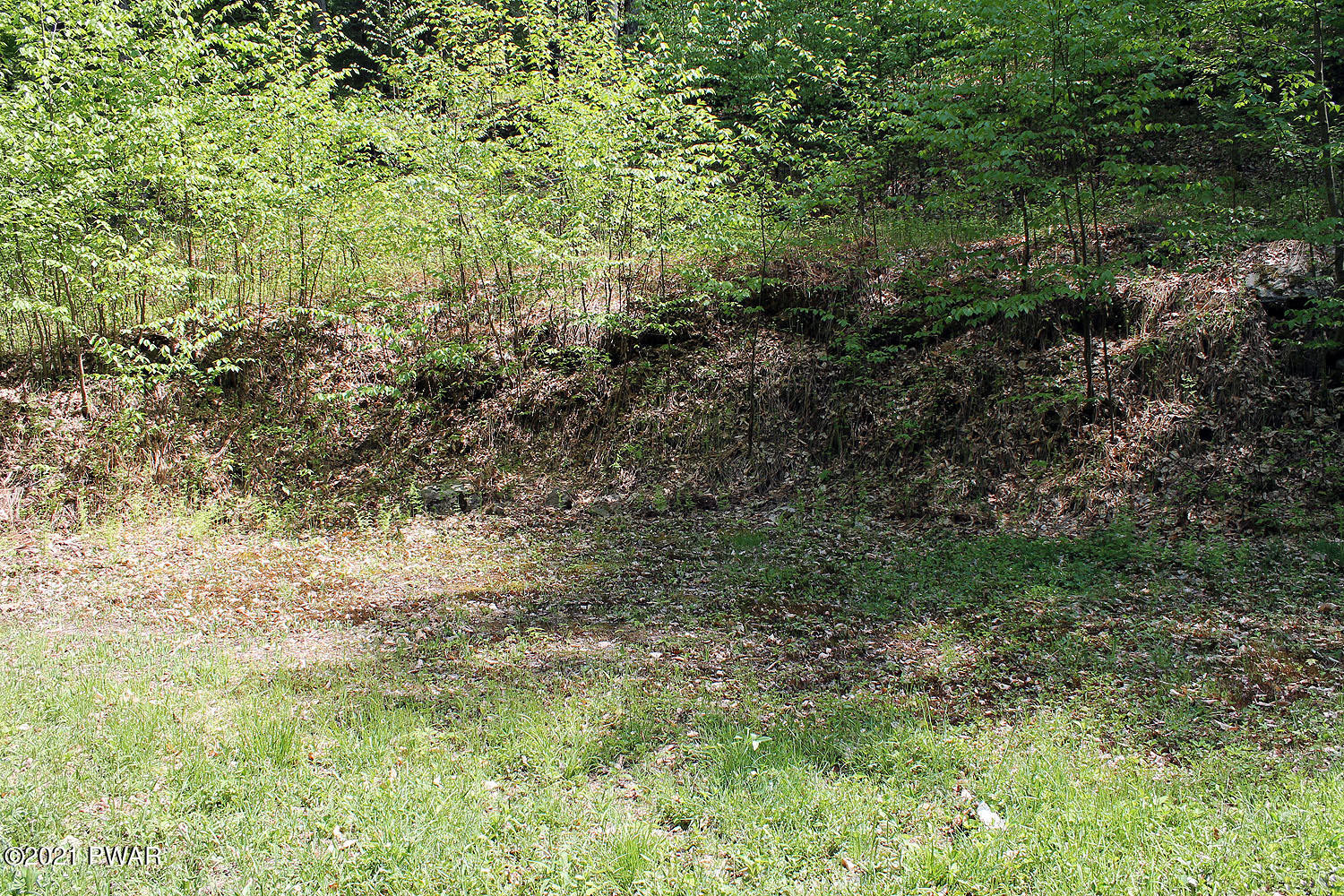3 Robbs Road Damascus, PA 18415 - Photo 5 of 13 Home Site