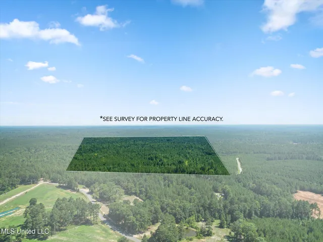 $384,000 | 0 J P Hinton Road, Richton, MS 39476