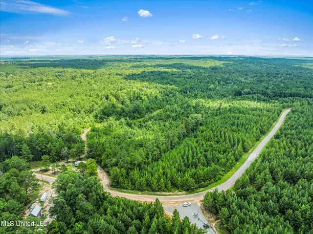 $384,000 | 0 J P Hinton Road, Richton, MS 39476