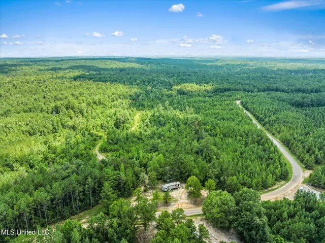 $384,000 | 0 J P Hinton Road, Richton, MS 39476