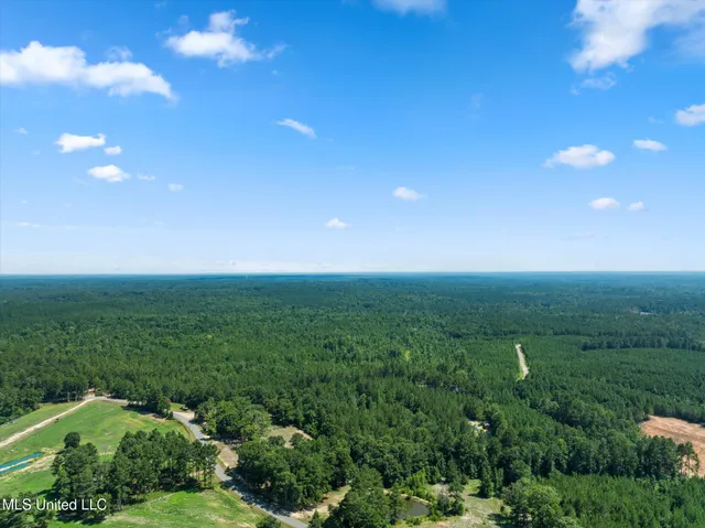 $384,000 | 0 J P Hinton Road, Richton, MS 39476