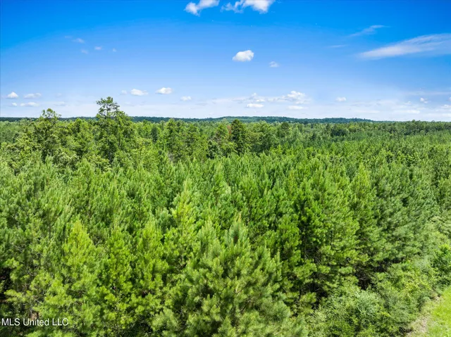 $384,000 | 0 J P Hinton Road, Richton, MS 39476