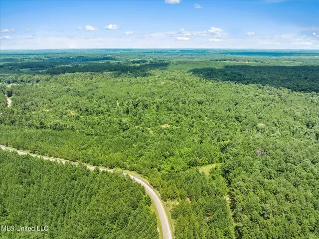 $384,000 | 0 J P Hinton Road, Richton, MS 39476