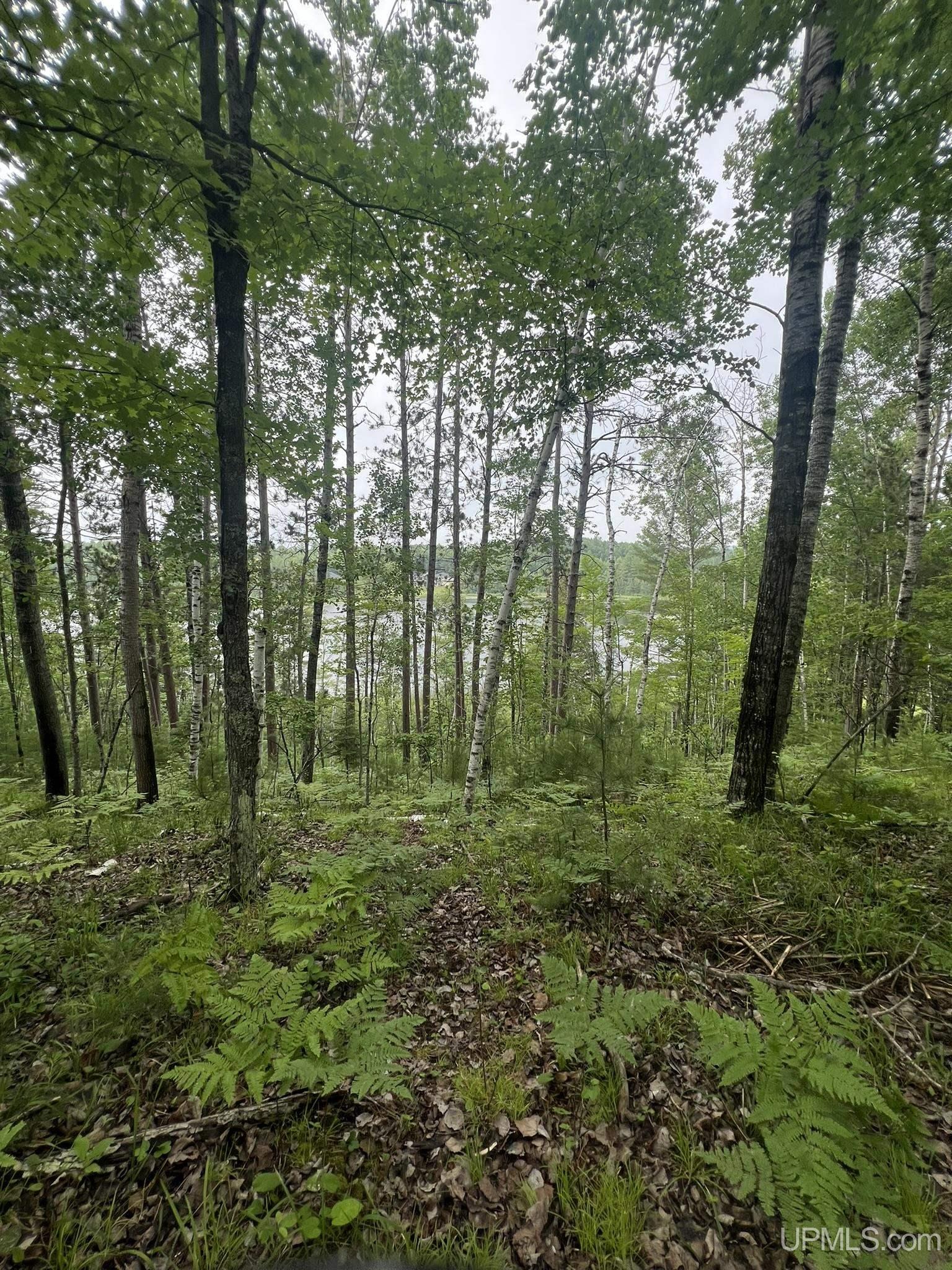 Tbd Waucedah Road Vulcan, MI 49892 - Photo 10 of 16