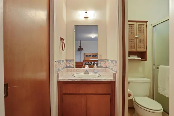 a bathroom with a sink toilet vanity and shower