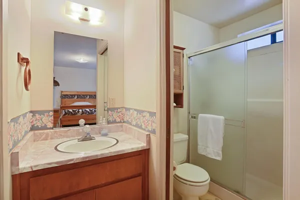 a bathroom with a sink toilet and shower