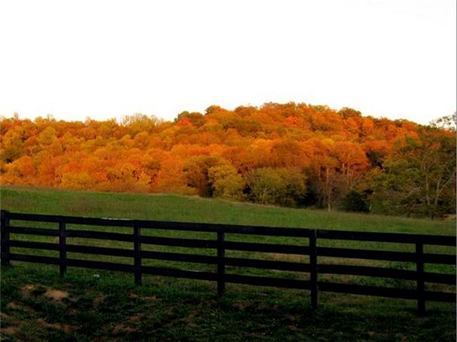 1488 Coleman Road Franklin, TN 37064 - Photo 20 of 20 What could be more beautiful than viewing the breath taking fall colors from your den or patio.