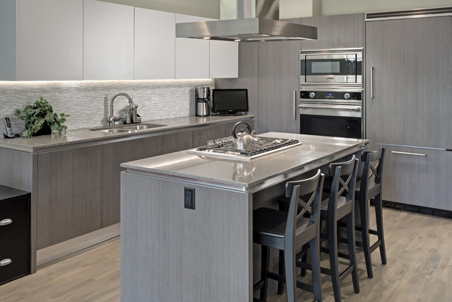 3547 North Reta Avenue, Unit 201 Chicago, IL 60657 - Photo 7 of 16