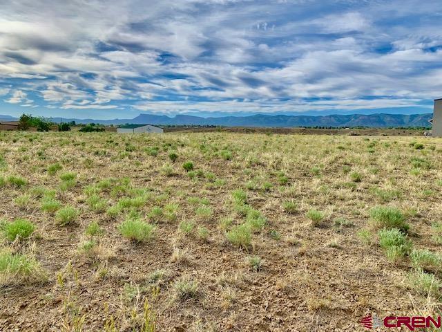 Lot 11 Industrial Road Cortez, CO 81321 - Photo 3 of 7 a view of a yard
