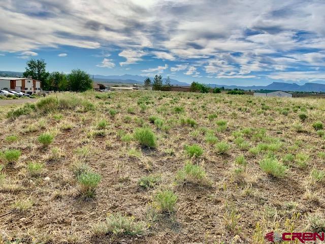 Lot 11 Industrial Road Cortez, CO 81321 - Photo 4 of 7 a view of a pathway with a yard