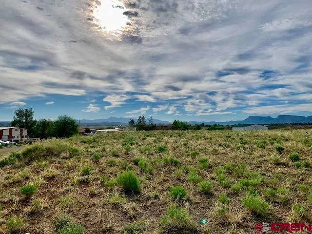 a view of a yard with an outdoor space