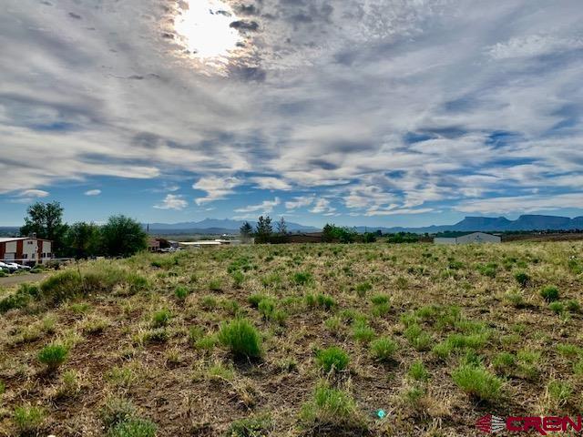 Lot 11 Industrial Road Cortez, CO 81321 - Photo 5 of 7 a view of a yard with an outdoor space