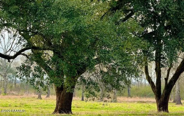 $321,500 | 0 Tbd 5th Street, Iota, LA 70543