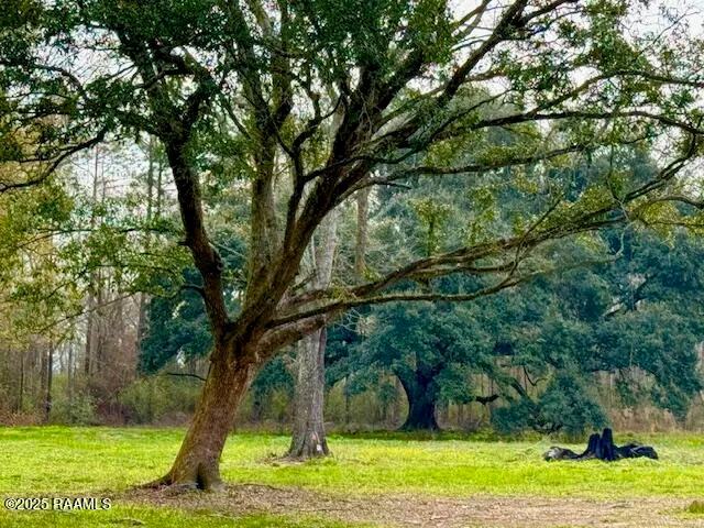 $321,500 | 0 Tbd 5th Street, Iota, LA 70543