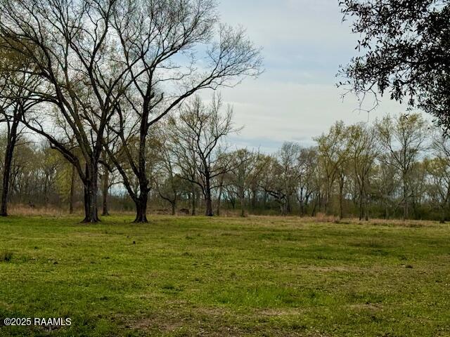 0 Tbd 5th Street Iota, LA 70543 - Photo 19 of 28 18