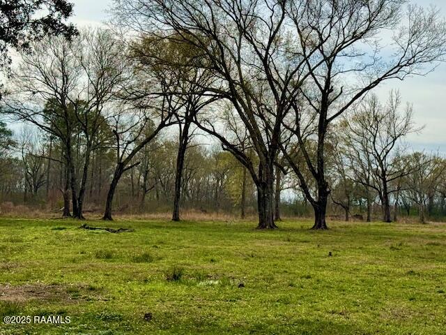 0 Tbd 5th Street Iota, LA 70543 - Photo 21 of 28 20