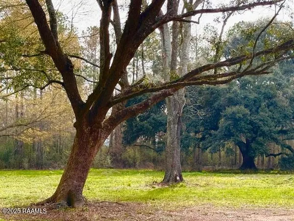 $321,500 | 0 Tbd 5th Street, Iota, LA 70543