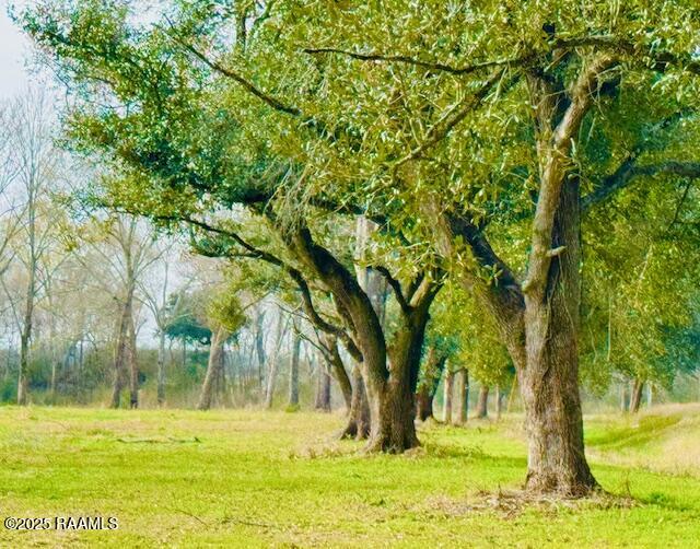 0 Tbd 5th Street Iota, LA 70543 - Photo 28 of 28 27