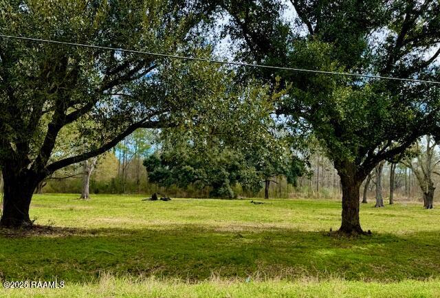 0 Tbd 5th Street Iota, LA 70543 - Photo 3 of 28 5th street 2