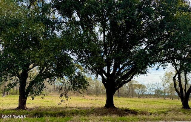 0 Tbd 5th Street Iota, LA 70543 - Photo 6 of 28 5th street 5