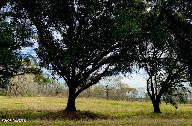 0 Tbd 5th Street Iota, LA 70543 - Photo 7 of 28 5th street 6