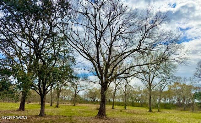 0 Tbd 5th Street Iota, LA 70543 - Photo 10 of 28 5th street 9