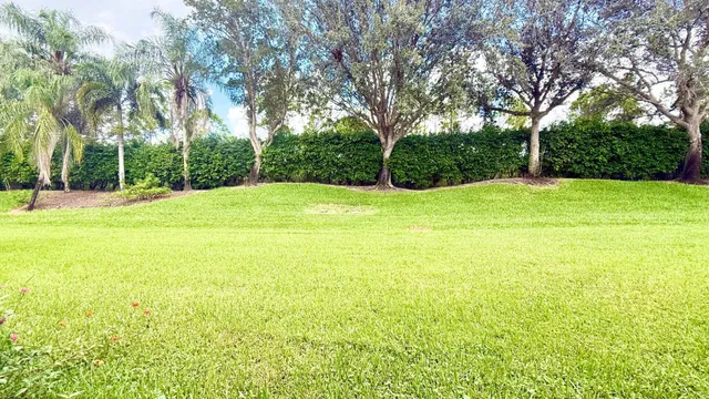 a view of a field with trees in the background