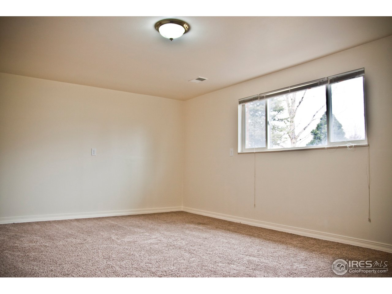 437 Princeton Road Fort Collins, CO 80525 - Photo 15 of 20 Gallery Image 15