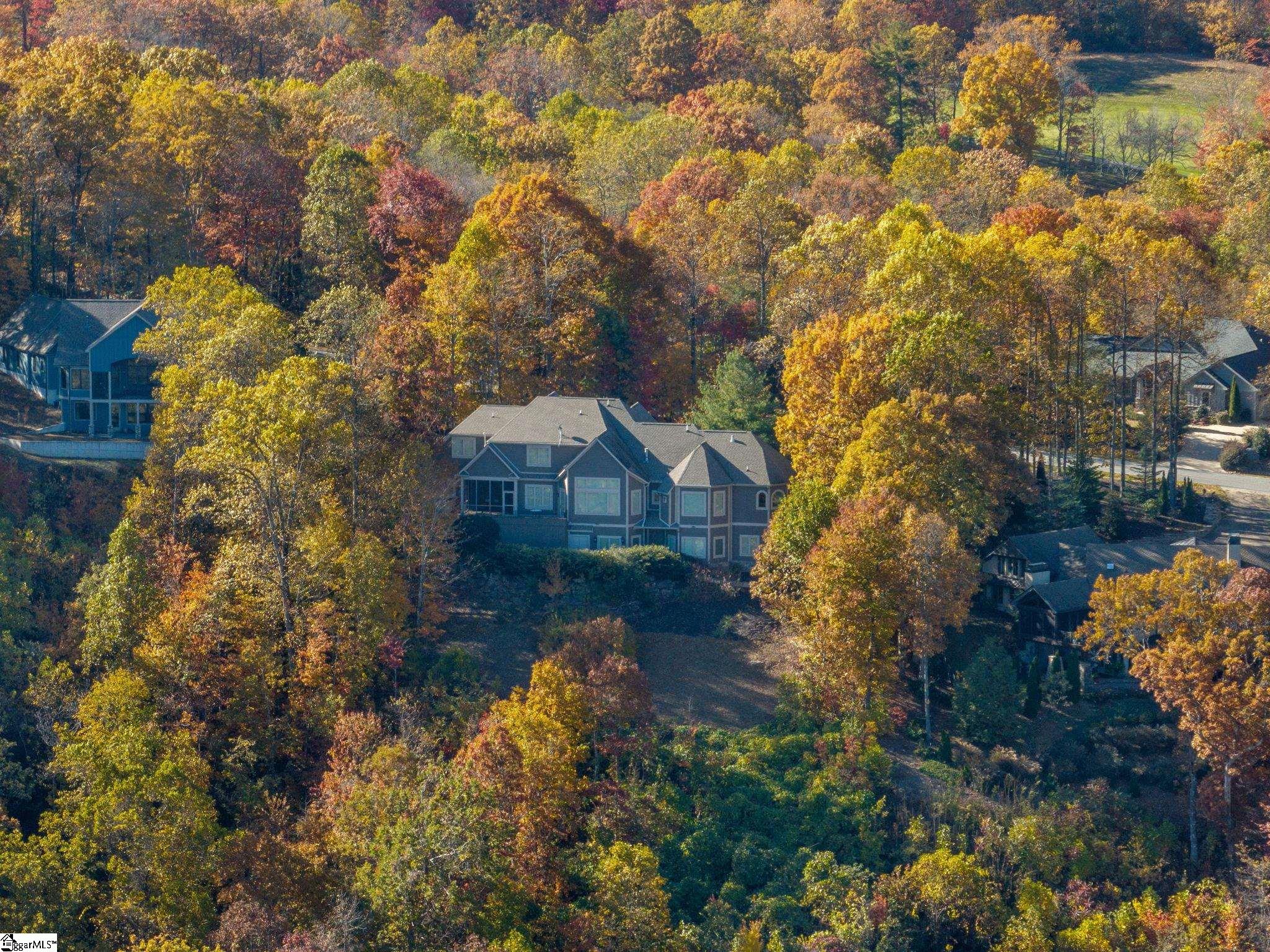 39 The Cliffs Parkway Landrum, SC 29356 - Photo 43 of 44