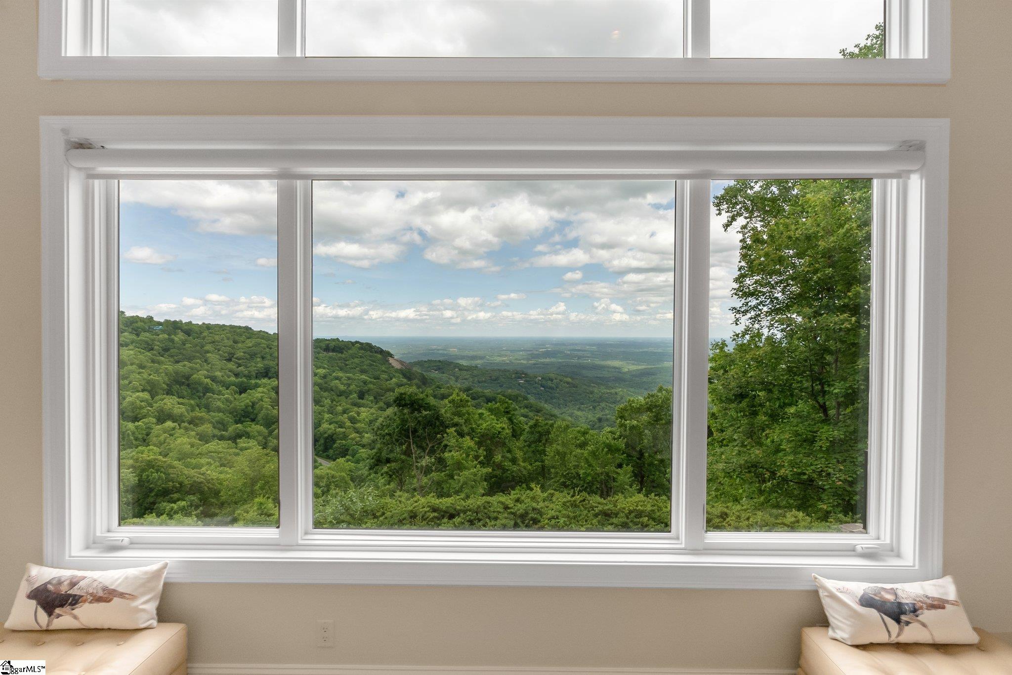 39 The Cliffs Parkway Landrum, SC 29356 - Photo 8 of 44