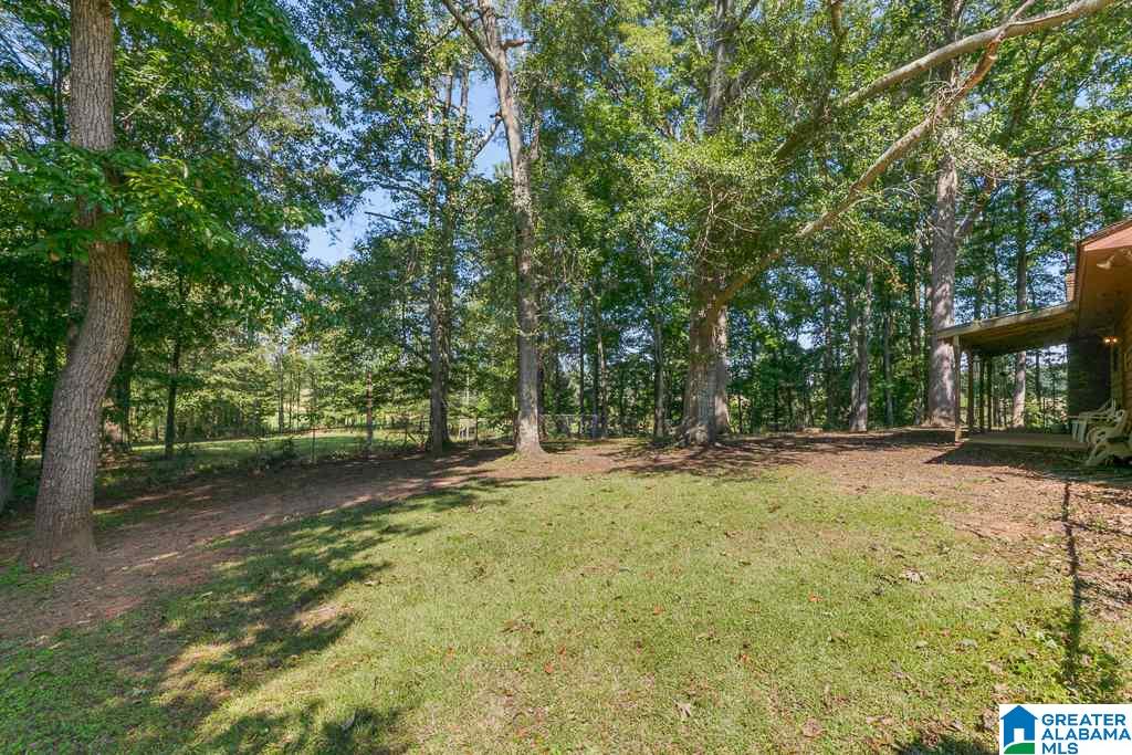 36 County Road 763 Clanton, AL 35046 - Photo 48 of 50