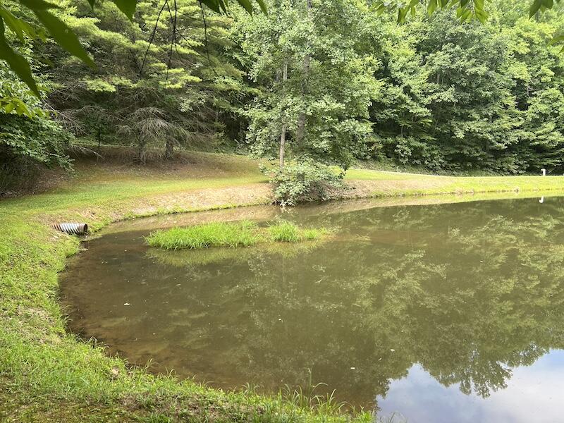 0 Music Road Northwest Floyd, VA 24091 - Photo 12 of 26 12