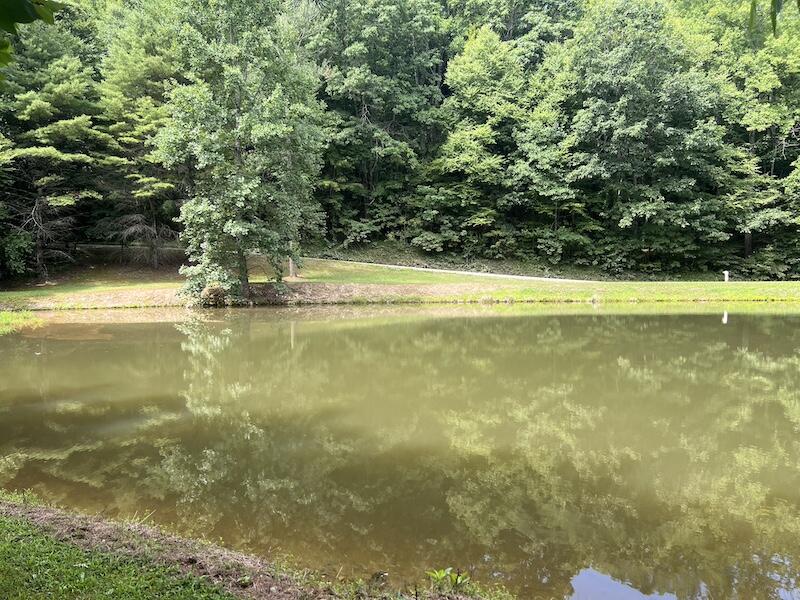 0 Music Road Northwest Floyd, VA 24091 - Photo 14 of 26 14