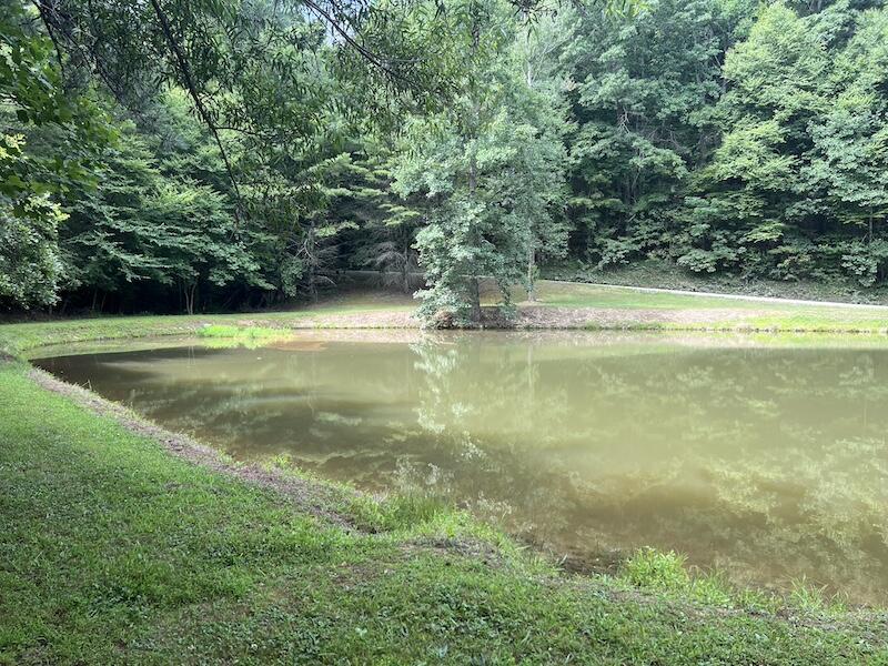 0 Music Road Northwest Floyd, VA 24091 - Photo 15 of 26 15