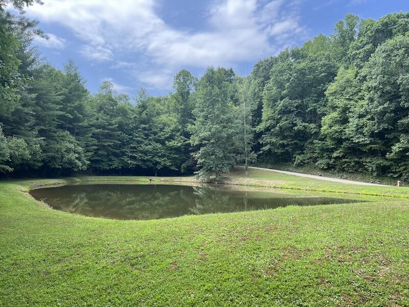 0 Music Road Northwest Floyd, VA 24091 - Photo 16 of 26 16