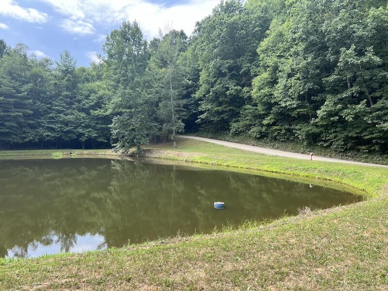 0 Music Road Northwest Floyd, VA 24091 - Photo 18 of 26 18
