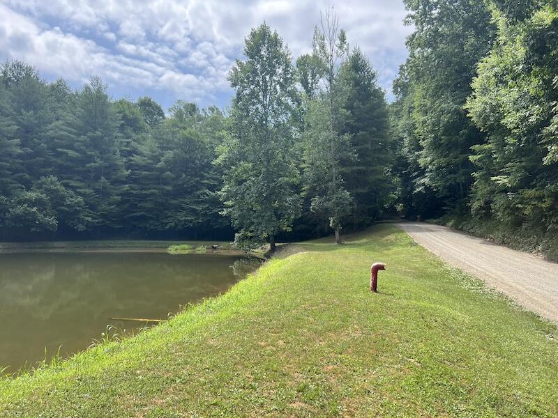 0 Music Road Northwest Floyd, VA 24091 - Photo 19 of 26 19