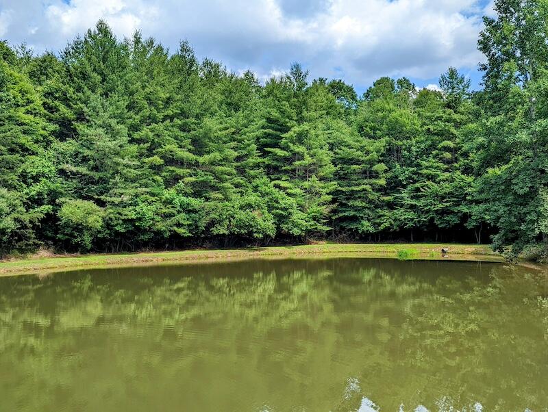 0 Music Road Northwest Floyd, VA 24091 - Photo 2 of 26 2