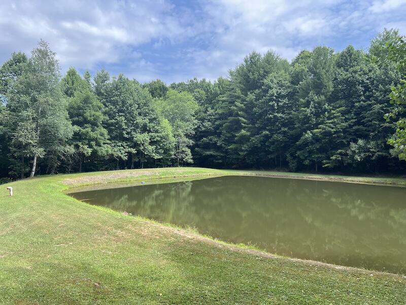 0 Music Road Northwest Floyd, VA 24091 - Photo 6 of 26 6