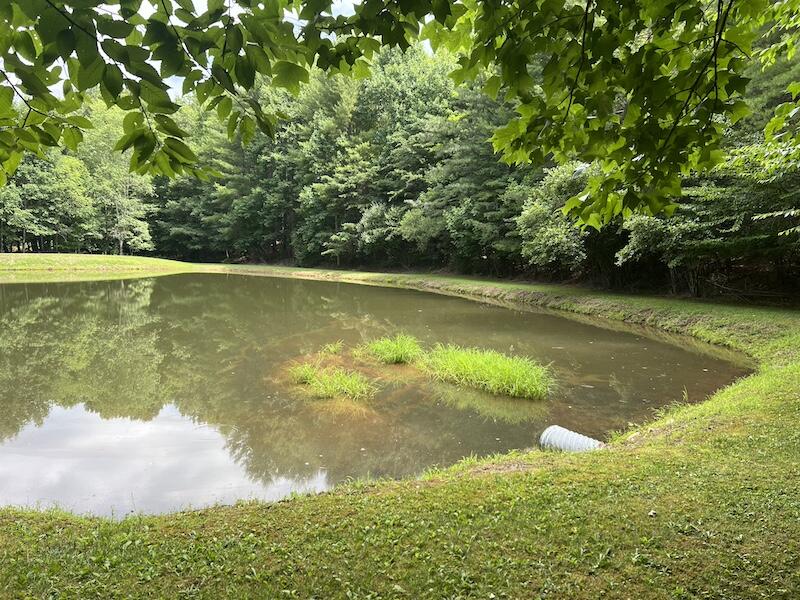0 Music Road Northwest Floyd, VA 24091 - Photo 10 of 26 10