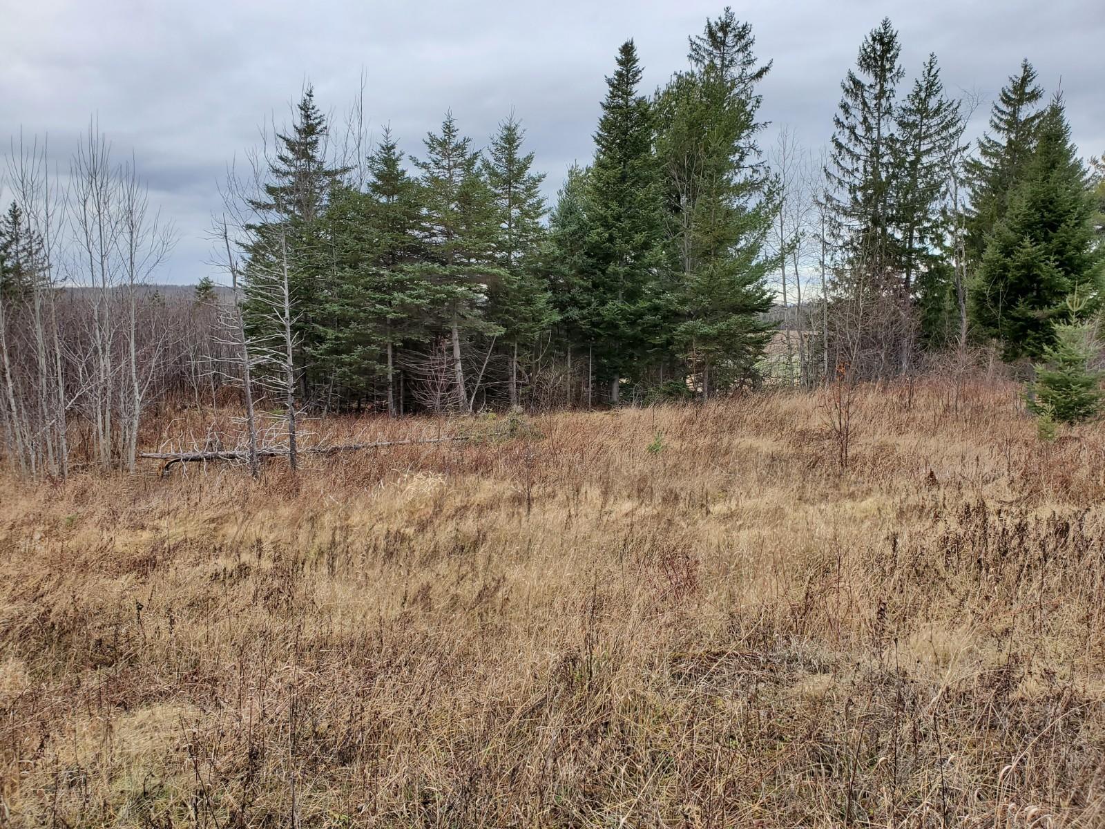 101 Allen Road Presque Isle, ME 04769 - Photo 5 of 10 20201202_092641