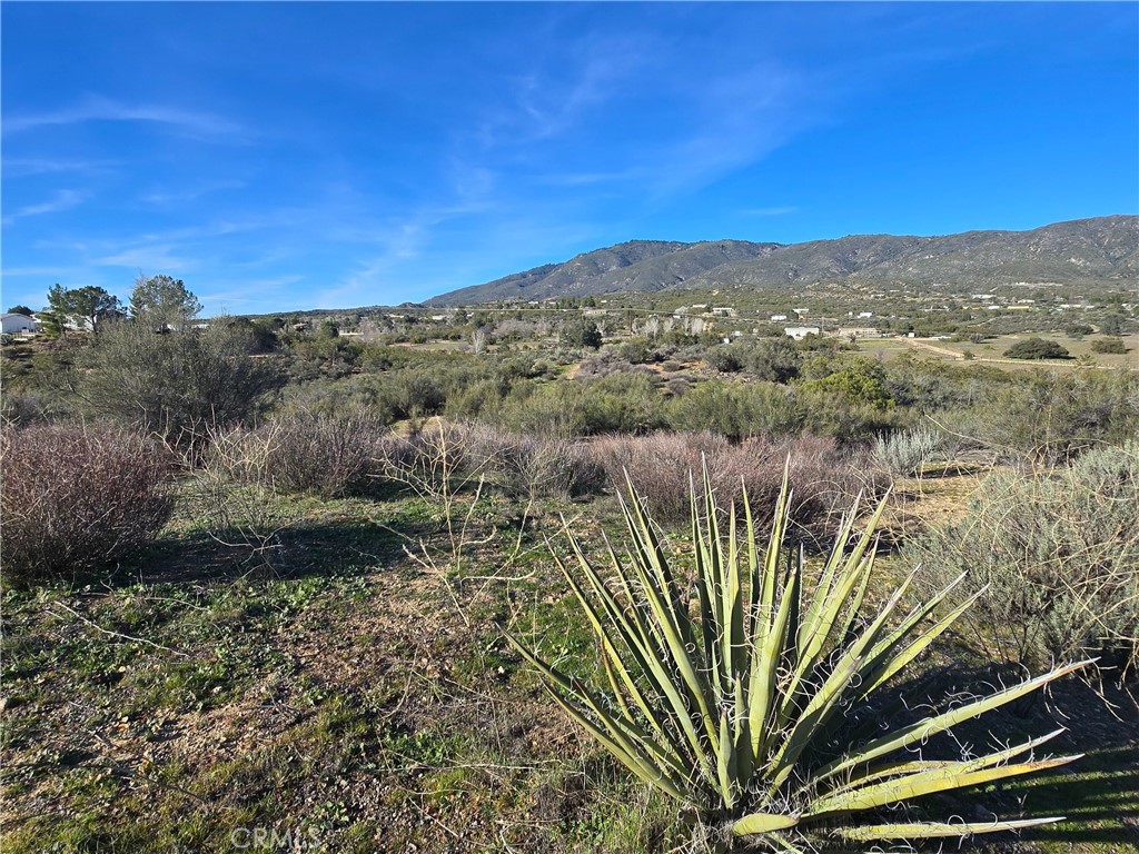 46 Anza Crest Road Anza, CA 92539 - Photo 2 of 6 a view of a yard with plants and wooden fence
