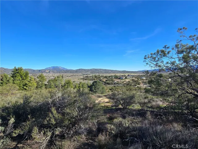 a view of a forest with a mountain in the background