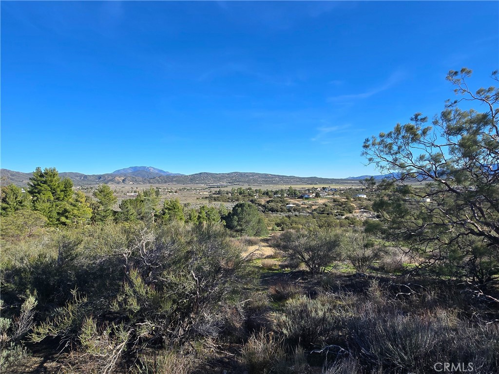 46 Anza Crest Road Anza, CA 92539 - Photo 3 of 6 a view of a forest with a mountain in the background