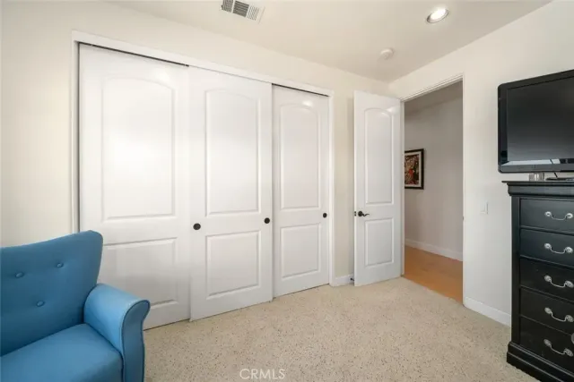 a view of a lush green forest