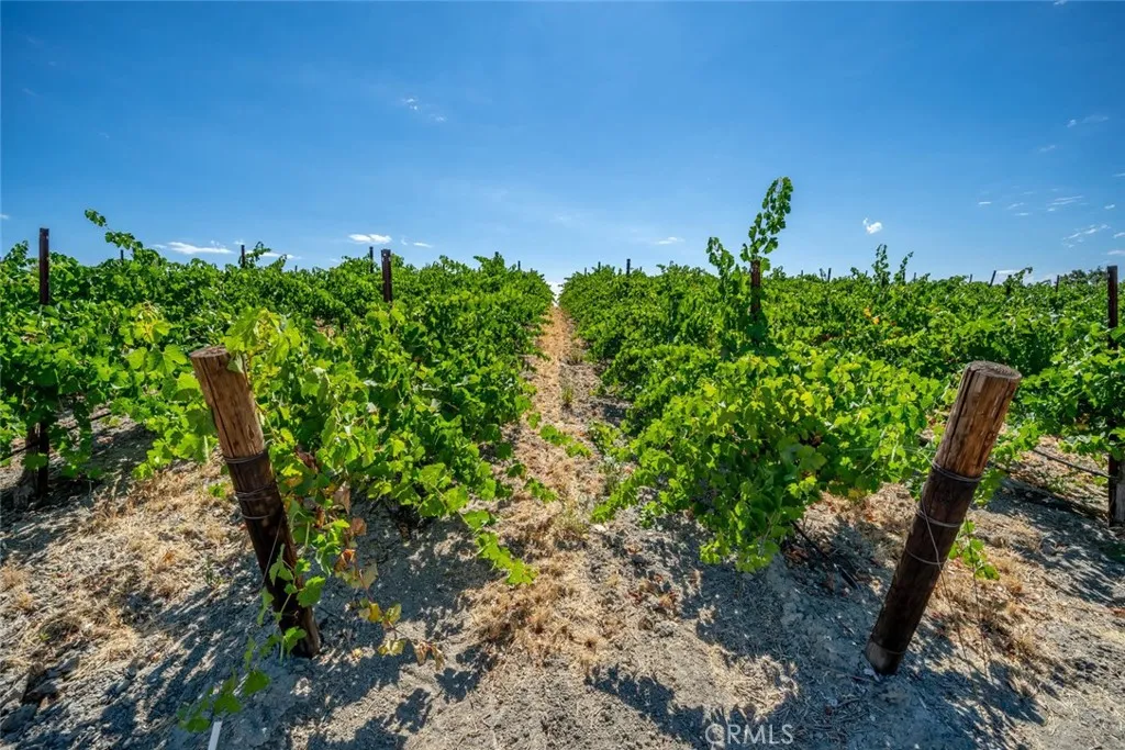 6172 Hawk Ridge Place Paso Robles, CA 93446 - Photo 65 of 72 a backyard of a house with lots of green space