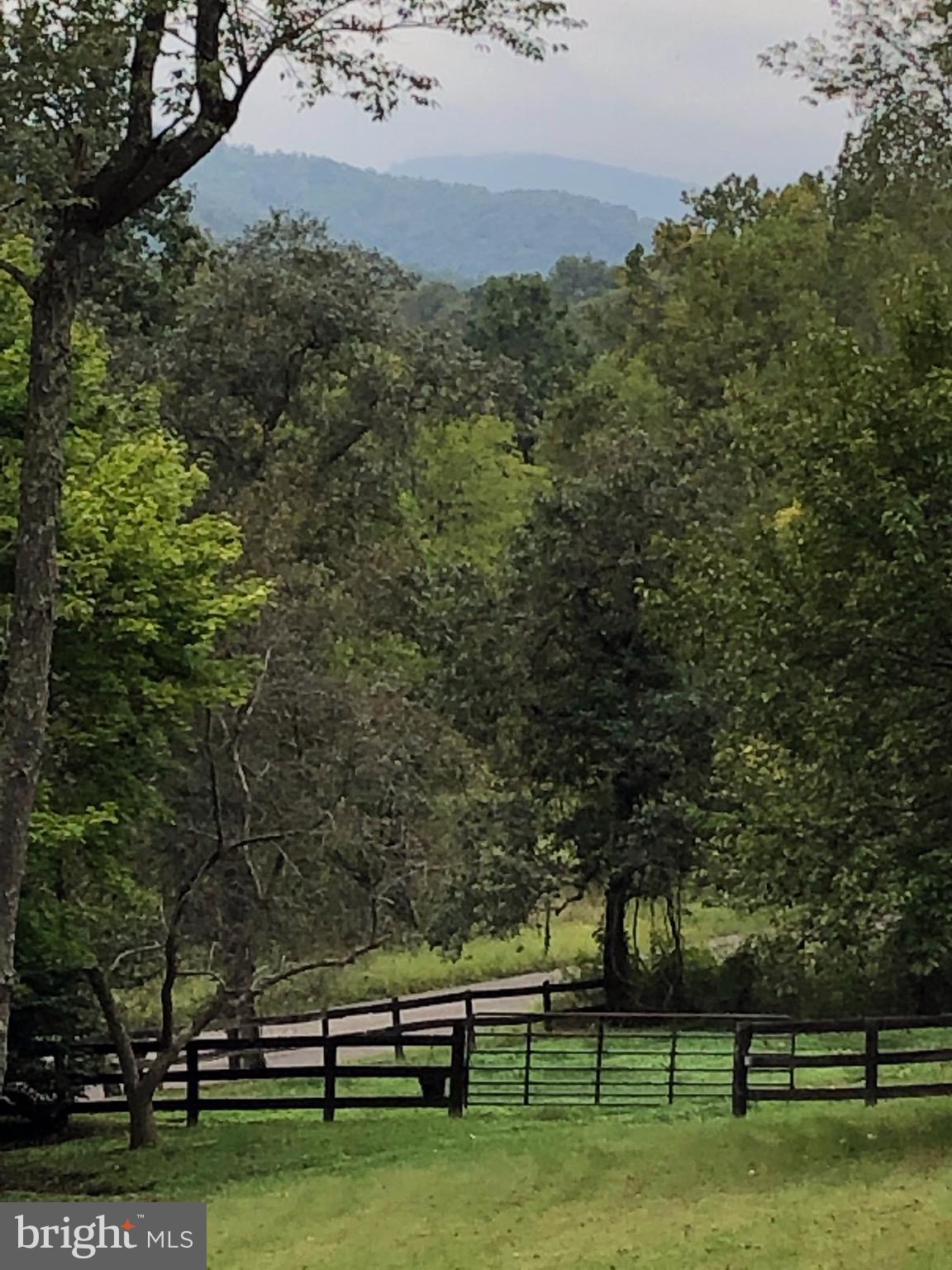 3131 Slate Mills Road Sperryville, VA 22740 - Photo 3 of 105 The view from the grounds near the Hill House