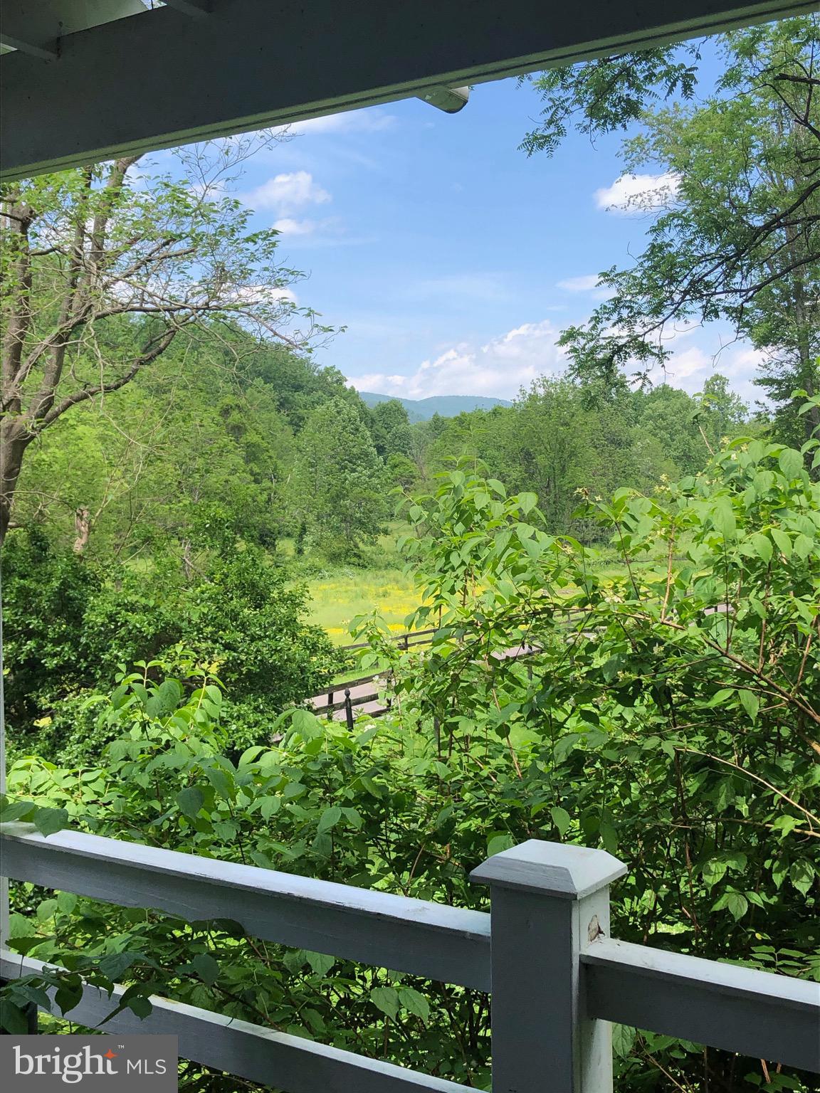 3131 Slate Mills Road Sperryville, VA 22740 - Photo 6 of 105 View from the west side "Saddle Porch"